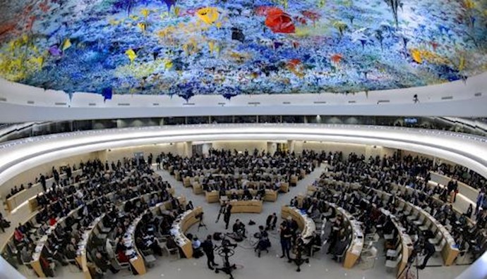  'United Nations Human Rights Council'