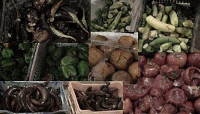  'Food gone rotten in Camp Liberty due to siege imposed by Maliki forces'