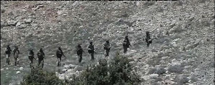 Yemen: Iranian officers captured