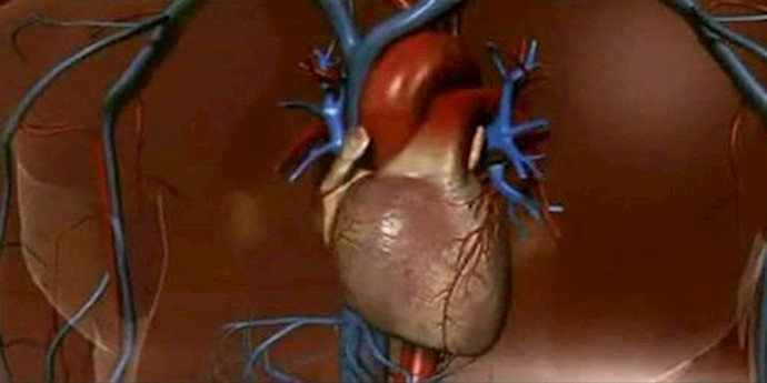  'Heart attack is the leading killer in men'