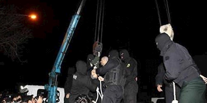 U.S. evaluating sale of cranes to Iran after use in executions