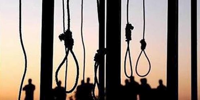  'Seven prisoners in danger of mass execution'