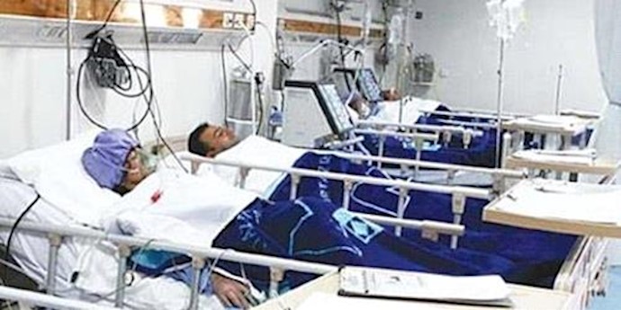  'Swine flu has taken the lives of at least 112 people in Iran'