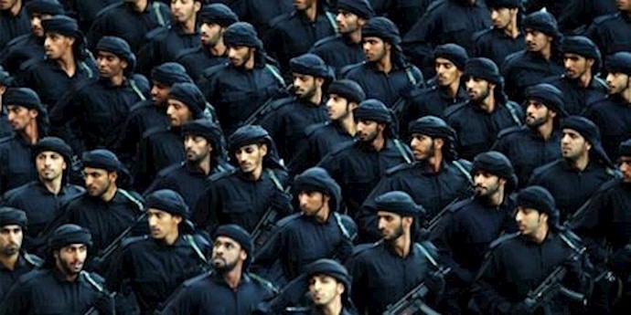 UAE says ready to commit troops to fight Syria jihadists