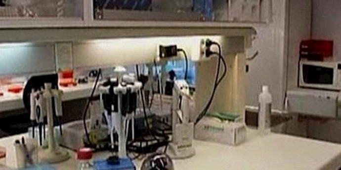  'Influenza spreading in Iran'