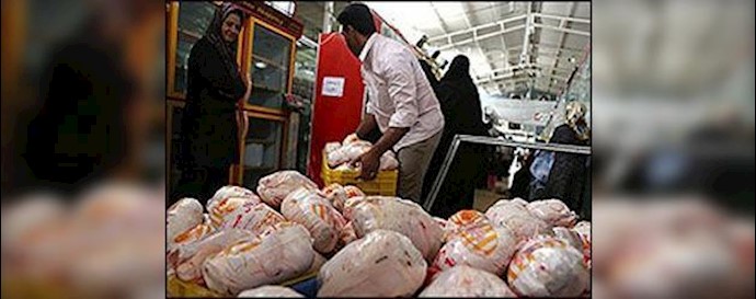 Tehran: Collective strike of chicken meat wholesalers in Tehran-pars and Shoush