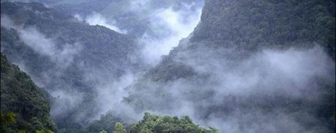 Iran; forests devastation as a result of the mullahs’ destructive environmental policy