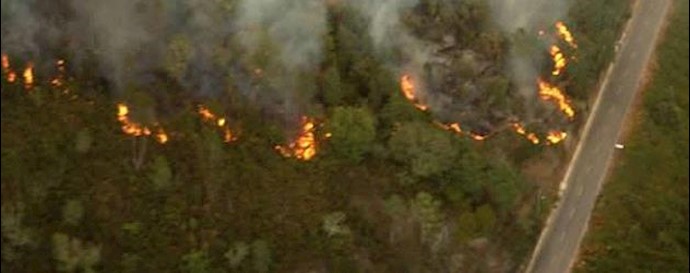  'Vast forest areas in Iran under the rule of the mullahs are being destroyed '