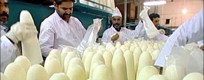 Iran, Varamin; Protest gathering of workers of Varamin Sugar Cone Factory