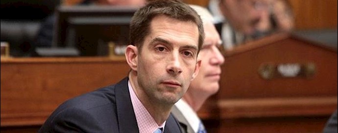 Cotton not surprised Syria reportedly kept chemical weapons