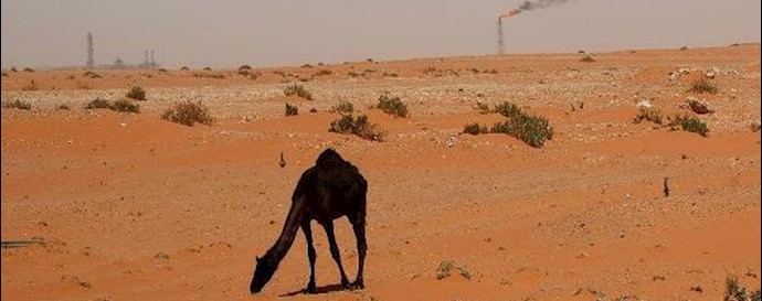  'Gulf oil exporters must reduce spending, including subsidies, and diversify their economies to cope with lower oil revenues, the IMF says'