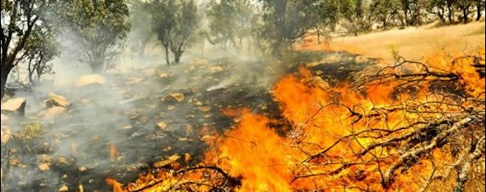  'Iran regime incompetence has caused hundreds of thousands of hectares of forest lands in to deserts'