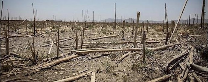 Two thirds of Iran has turned into desert areas