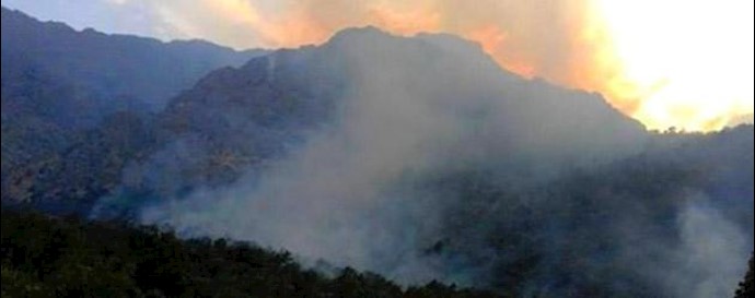  'Shelling of jungles by the IRGC in Iran'