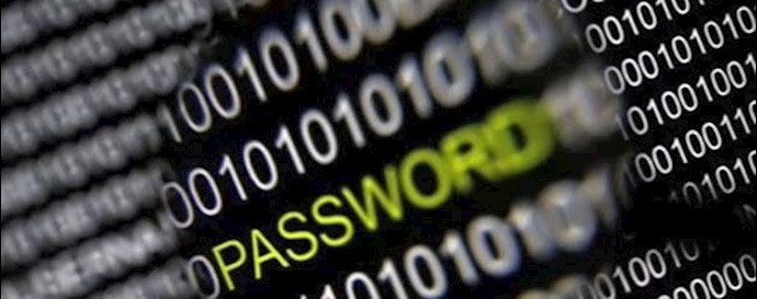 Internet activist arrested