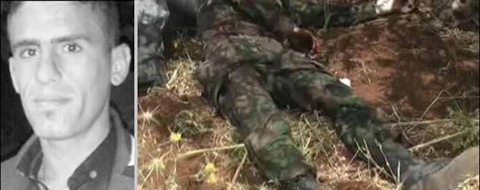 More Lebanese Hezbollah elements killed in Syria