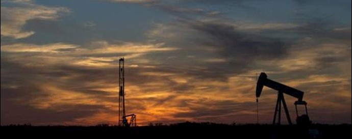 India takes 23 pct less Iranian oil Jan-June vs a yr ago -trade