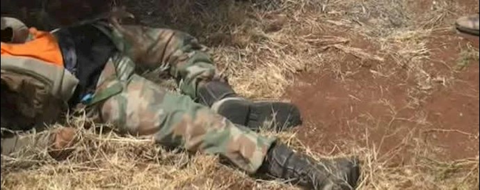 Iran agent killed in Syria, buried in Mashhad