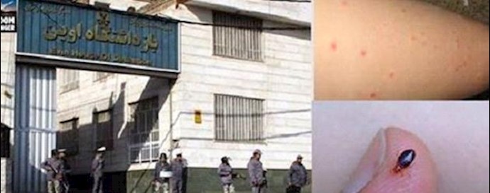 Iran: harmful insects such as “bed bugs” in ward 8 of Evin Prison