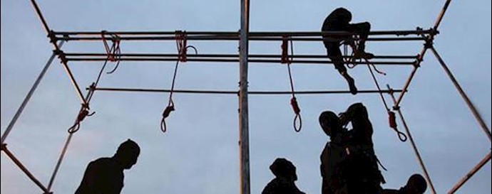 IRAN: Execution of 32 prisoners in different cities, including two women and three public executions
