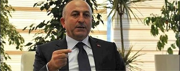 Turkey ground troops not needed for now in Syria: FM
