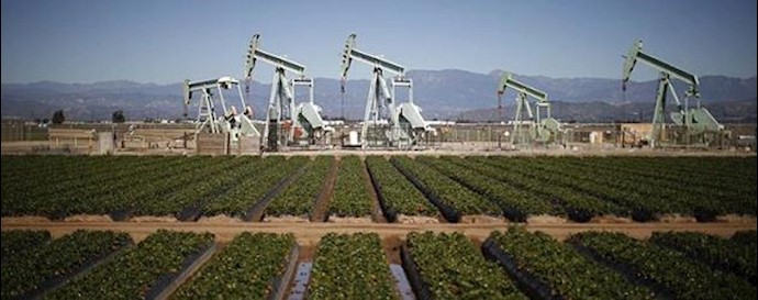 U.S. Oil Prices Dip Below $40 a Barrel, Hit Fresh Six-Year Low