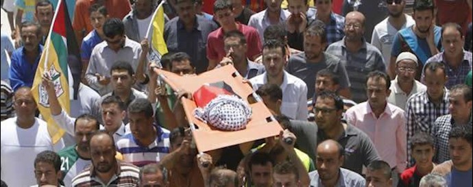 Global condemnation of horrific murder of Palestine toddler