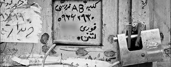  'Signs, proposing to sell kidney with blood type AB+ and phone number to call, are becoming more common in Iran'