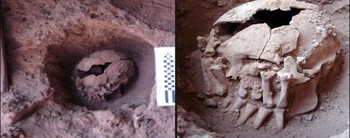  'The male skull was found in a rock shelter. His hands had been cut off and were resting on his face.'