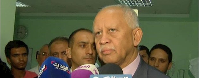 Yemen FM: We have liberated most of the country