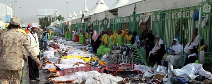 Saudi minister says Hajj stampede death toll rises to 769