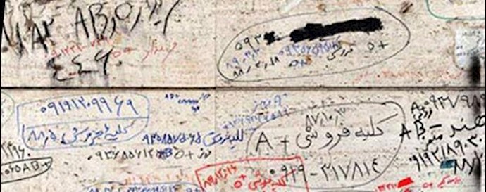 Iran: couple seeking to sell kidneys receives call…