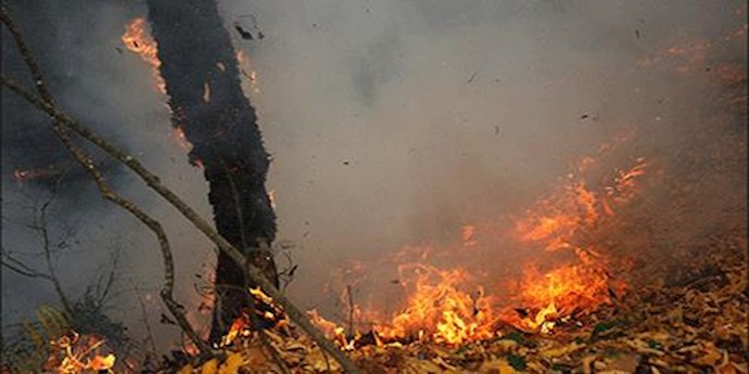 Iran: environmental concern in most part of the country