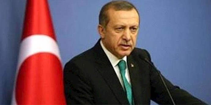 Erdogan says Istanbul attack caused by suicide bomber of Syrian origin