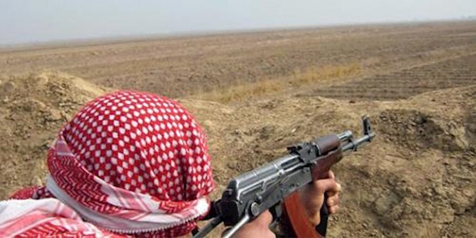 Two Iraqi journalists shot dead: employer