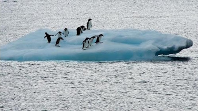 Landmark deal struck for world’s biggest marine reserve in Antarctica