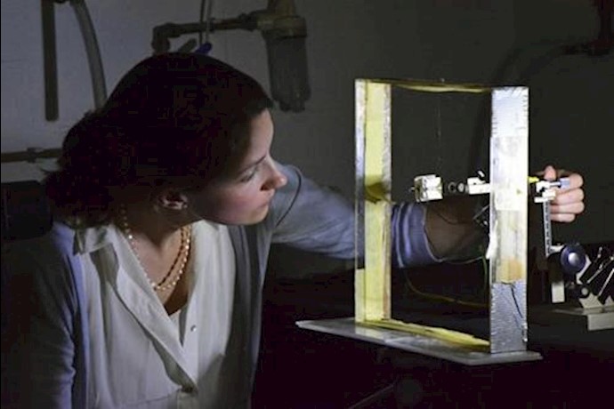 Spiders can ‘tune’ webs for good vibrations, researchers say