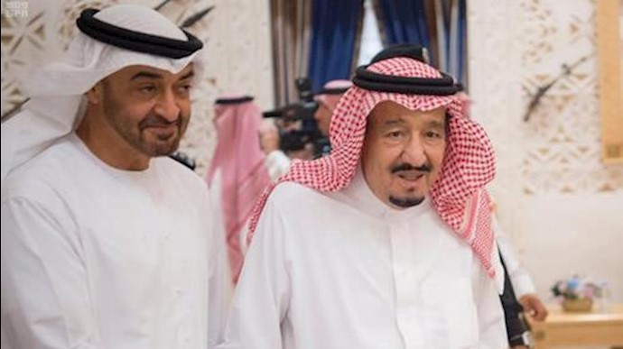 UAE-Saudi Discussions over Latest Developments in the Region