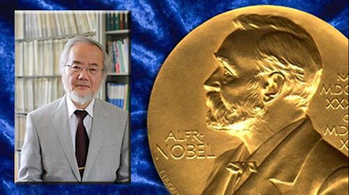 Breaking News: Japanese scientist wins 2016 Nobel medicine prize