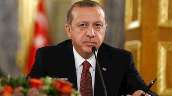  'Turkish President Tayyip Erdogan attends a joint news conference in Istanbul, Turkey, October 10, 2016.  '