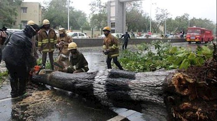  'Rescue members cut a tree that fell on a road after it was uprooted by strong winds in Chennai, India, December 12, 2016'