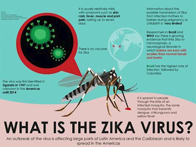 Global health emergency as WHO seeks ways to respond to Zika virus