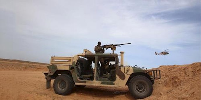 Tunisian army kills suspected militant