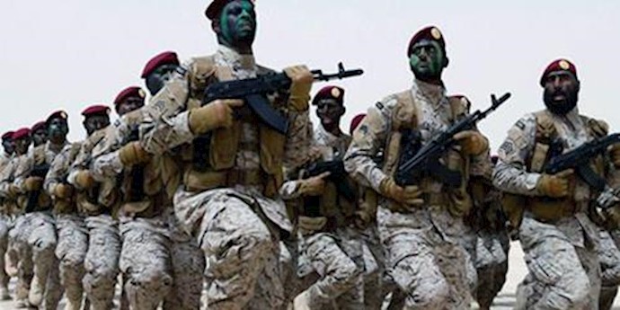 Saudi Arabia says open to sending special forces into Syria