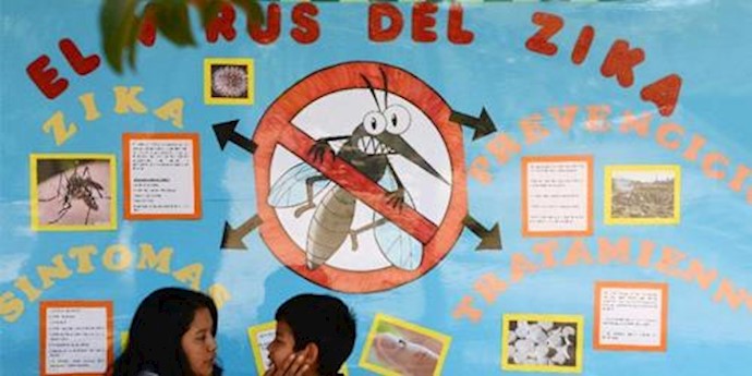  'A WHO official examining the possible symptoms of Zika virus in a child'