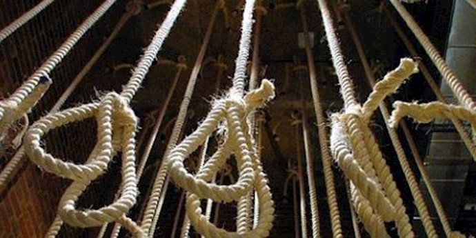 Iran: UN special rapporteur on Iran says nearly 1,000 people executed in Iran in 2015