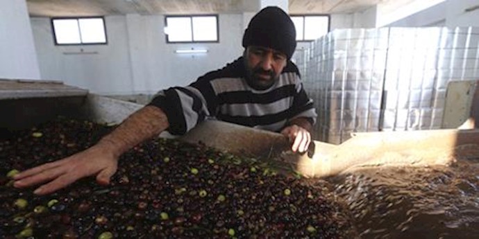 Syrian exports decimated by five years of war