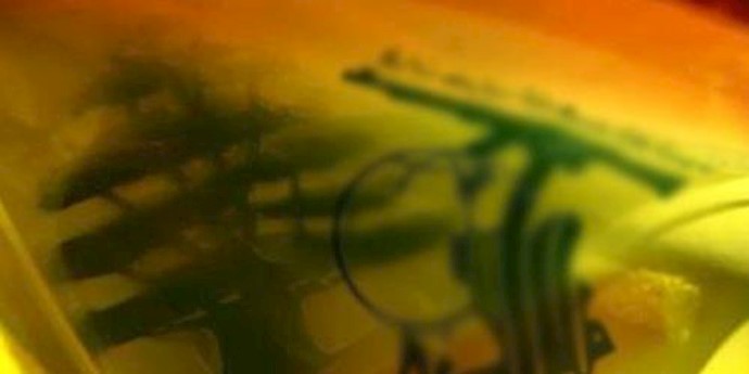Iran planed and organized a terrorist Hezbollah cell in the UAE