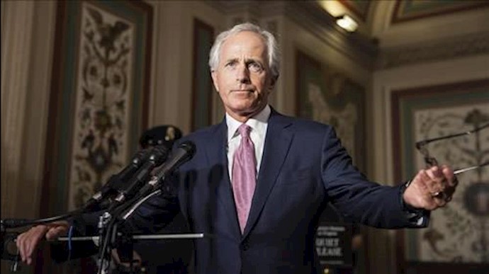 US senator suggests no-fly zone if Syria truce fails