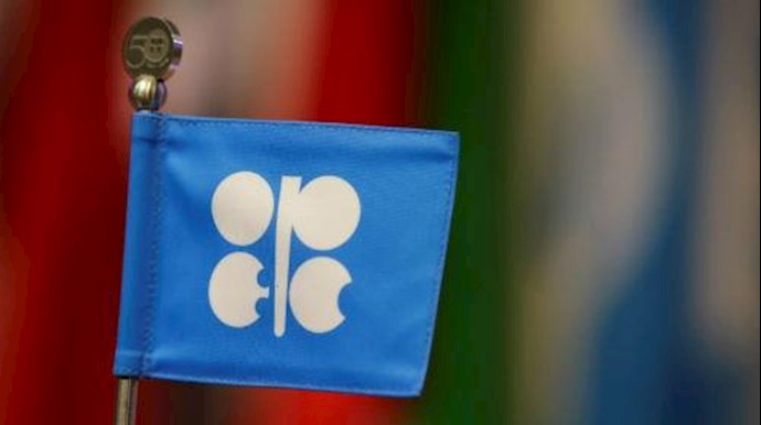 Crude Oil near $50 as oil market awaiting OPEC meeting